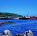 King Island Dairies - Rent Accommodation