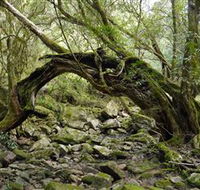 Mitchell River Walking Track - Rent Accommodation