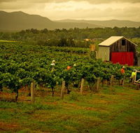 Around Hermitage Wine and Food Trail Hunter Valley - Rent Accommodation