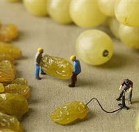 Hunter Valley Wine School - Rent Accommodation