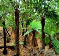 Pegarah Private Nature Reserve  Parenna Place - Rent Accommodation
