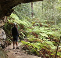 Dharug National Park - Rent Accommodation