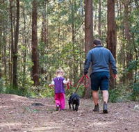 Olney State Forest - Watagan Mountains - Rent Accommodation