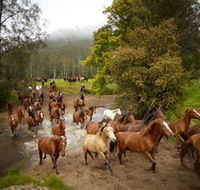 Glenworth Valley Horse Riding - Rent Accommodation