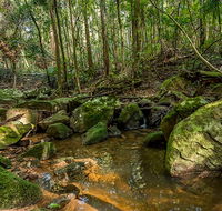 Palm Grove Nature Reserve - Rent Accommodation