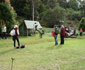 Forest Of Tranquillity - Australian Rainforest Sanctuary - Rent Accommodation 0