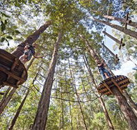 TreeTop Adventure Park Central Coast - Rent Accommodation