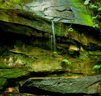 Strickland State Forest - Rent Accommodation