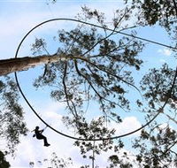 TreeTops Crazy Rider - Rent Accommodation