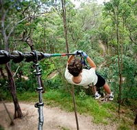 TreeTop Challenge - Rent Accommodation