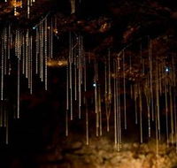 Tamborine Mountain Glow Worm Caves - Rent Accommodation