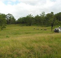 Numinbah Valley Adventure Trails - Rent Accommodation