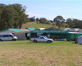 Tinonee Orchid Nursery - Rent Accommodation 0