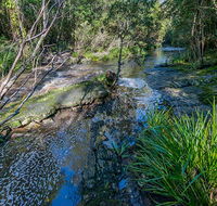 Dawson River walking track - Rent Accommodation