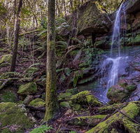 Coorabakh National Park - Rent Accommodation