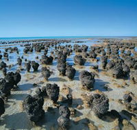 Hamelin Pool Stromatolites - Rent Accommodation