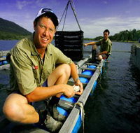 Armstrong Oysters - Rent Accommodation
