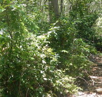 Bridle trail - Rent Accommodation