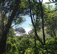 Rainforest walking track - Rent Accommodation