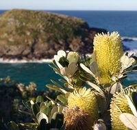 Green Island walking track - Rent Accommodation