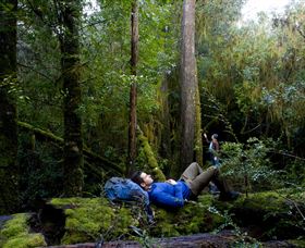 Roger River TAS Rent Accommodation