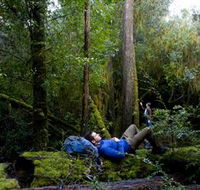 The Tarkine Drive - Rent Accommodation