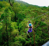 Canyon Flyer - Rent Accommodation