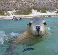 Calypso Star Charters - Rent Accommodation
