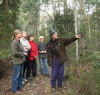 Great Western Tiers Forest Walks Tasmania - Rent Accommodation