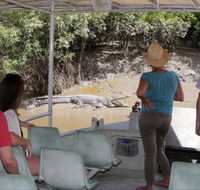Whitsunday Crocodile Safari - Rent Accommodation