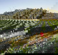 Margaret River Caves Wine and Cape Leeuwin Lighthouse Tour from Perth - Rent Accommodation