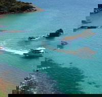 Cape Woolamai Sightseeing Cruise from San Remo - Rent Accommodation