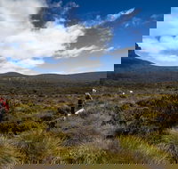 6-Day Overland Track PhotoTour - Rent Accommodation