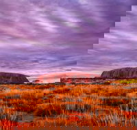 4-Day Camping Trip from Ayers Rock Including Uluru Kata Tjuta and Kings Canyon - Rent Accommodation