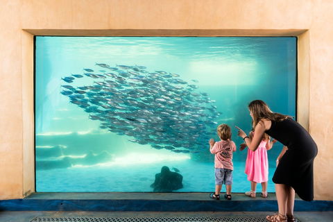 AQWA The Aquarium Of Western Australia - Rent Accommodation 0