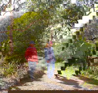 Arthurs Seat Circuit Walk - Rent Accommodation