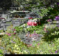 Launceston Gorge Scenic Chairlift - Rent Accommodation