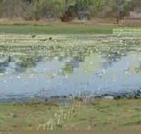 Leaning Tree Lagoon Nature Park - Rent Accommodation