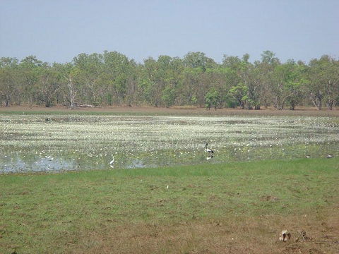 Leaning Tree Lagoon Nature Park - Rent Accommodation 1