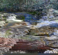 Liffey Falls Reserve - Rent Accommodation