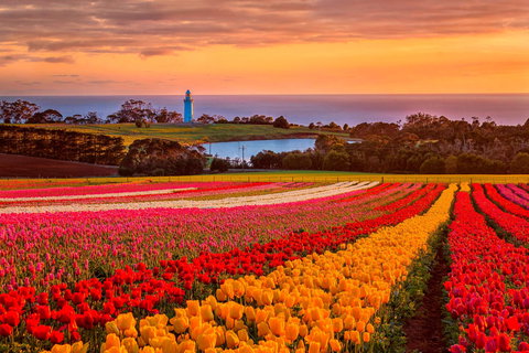 Table Cape - Rent Accommodation 0