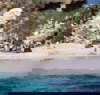 Australian Sea Lions - Rent Accommodation