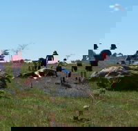 Jim Salmon  Wetland Education Site - Rent Accommodation