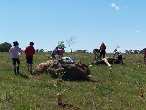 Jim Salmon  Wetland Education Site - Rent Accommodation 0