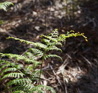Langwarrin Flora and Fauna Reserve Walking Trails - Rent Accommodation
