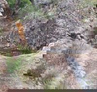 Mill-bullah Walking Track - Rent Accommodation