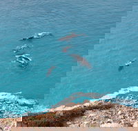 Nullarbor National Park - Rent Accommodation