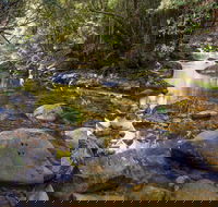 Washpool Walking Track - Rent Accommodation