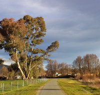 Adelong Falls Walk - Rent Accommodation