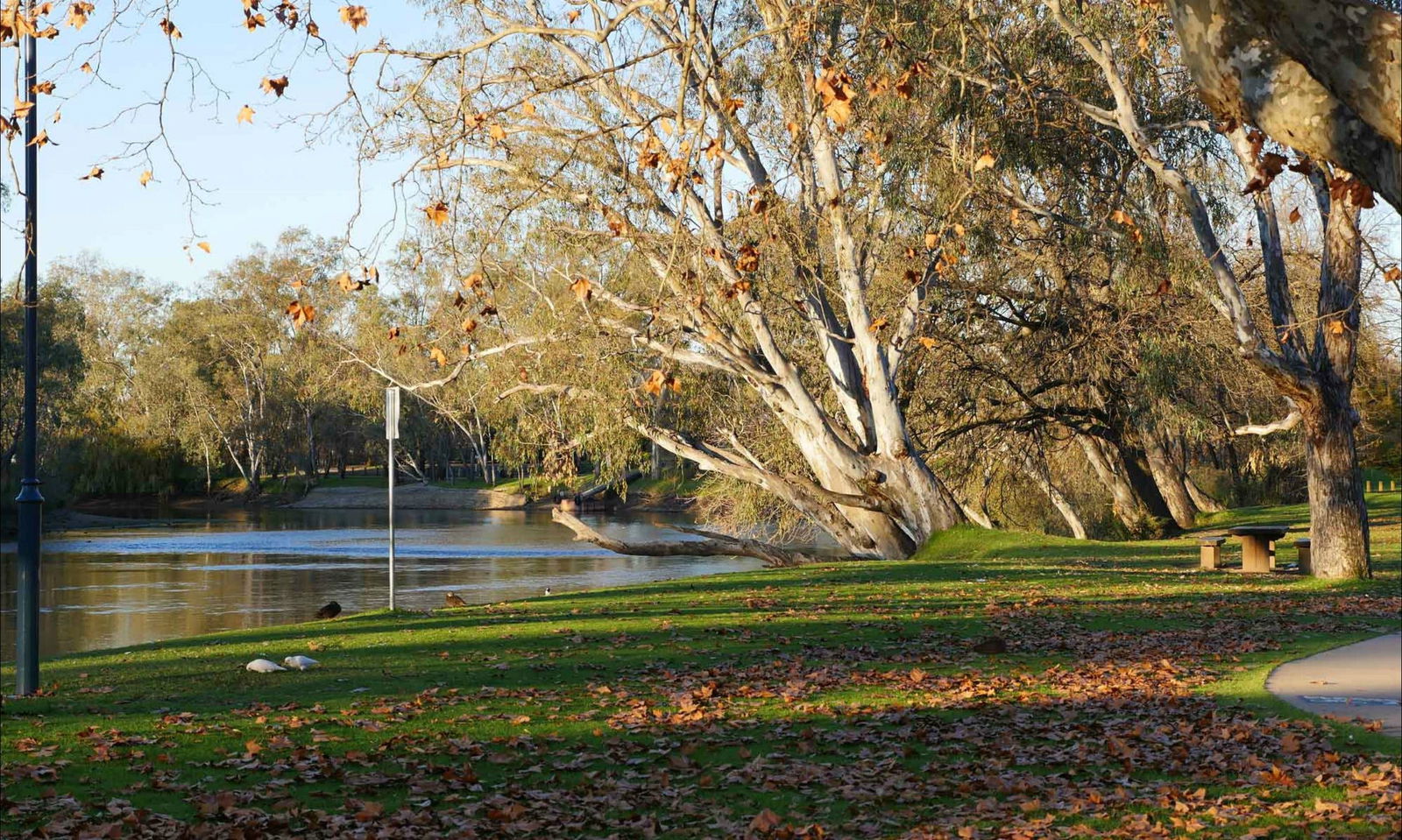 Wirlinga NSW Rent Accommodation